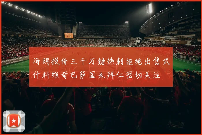 海鸥报价三千万镑热刺拒绝出售武什科维奇巴萨国米拜仁密切关注