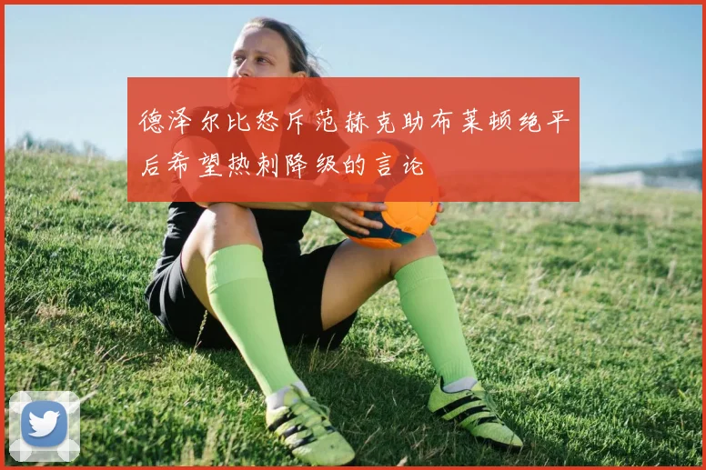 德泽尔比怒斥范赫克助布莱顿绝平后希望热刺降级的言论