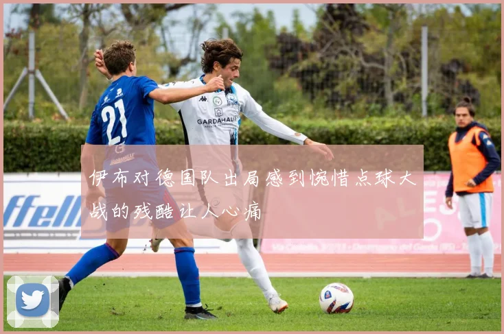 伊布对德国队出局感到惋惜点球大战的残酷让人心痛